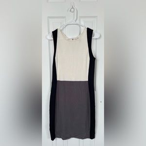 Dynamite Color Block Bodycon Dress